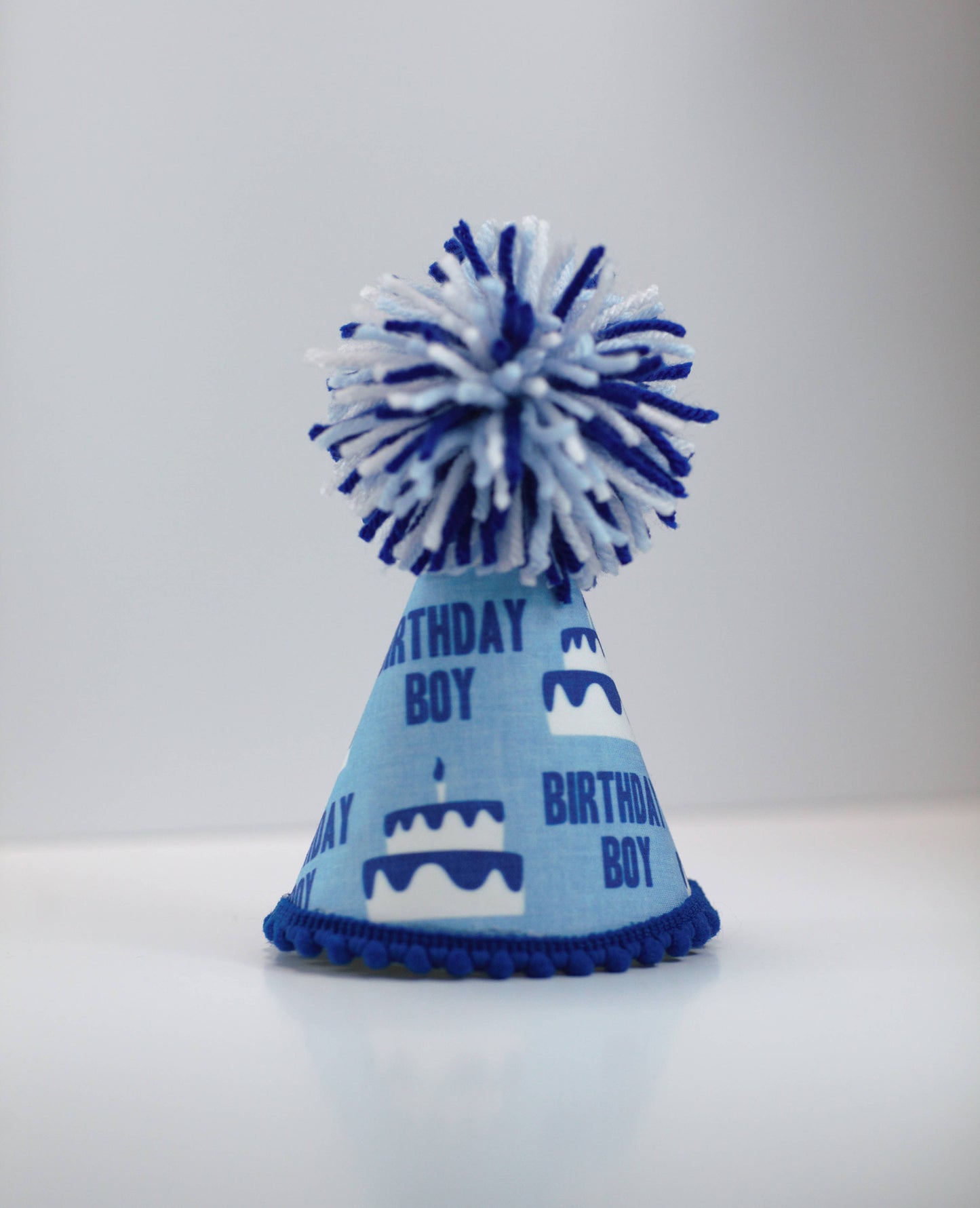 Birthday Boy Blue Ink Party Hat: L